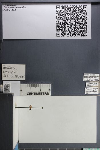 Media type: image;   Entomology 587081